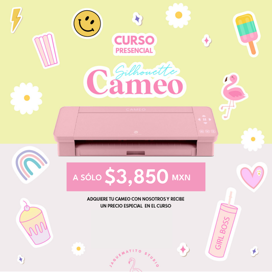 CURSO CAMEO | PRESENCIAL SAB  25 Y DOM 26 JULIO 2026