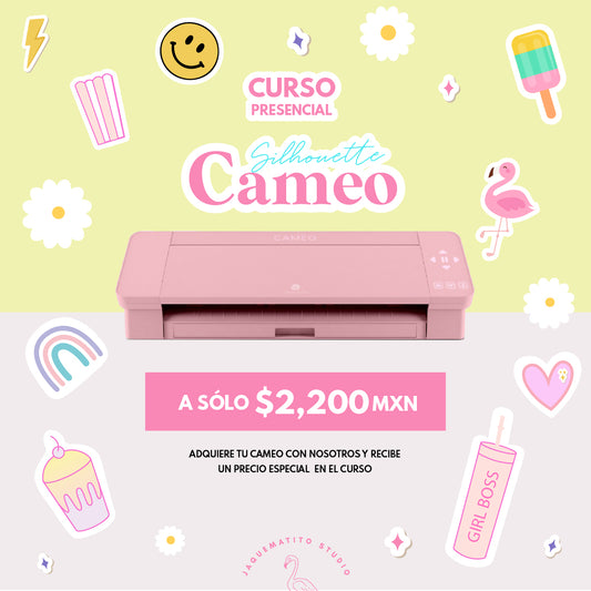 Curso Presencial Cameo 5